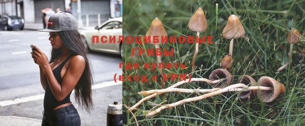 mdpv Каменск-Шахтинский