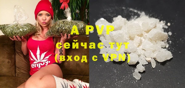 стафф Каменногорск