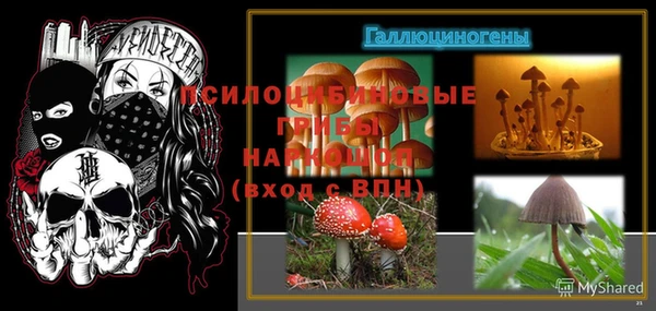 стафф Каменногорск