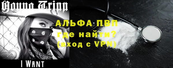 стафф Каменногорск